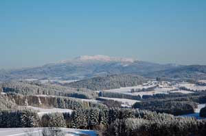 Zwieselberg im Winter