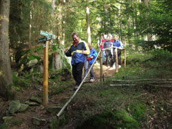 Wanderparadies Bayerischer Wald